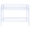 Morgan - Metal Bunk Bed