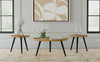 Zoe - Mango Wood Coffee Table Set