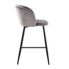 Fran - 26" Fixed-Height Counter Stool (Set of 2)