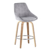 Diana - Fixed-Height Counter Stool (Set of 2)