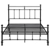 Novak - Metal Open Frame Bed