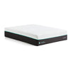 Malouf Ascend 14" Aeroflex Latex Hybrid Mattress
