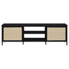 Amherst - 2-Door 70" Metal TV Stand Media Console - Black