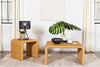 Cahya - Rattan Coffee And End Table Set