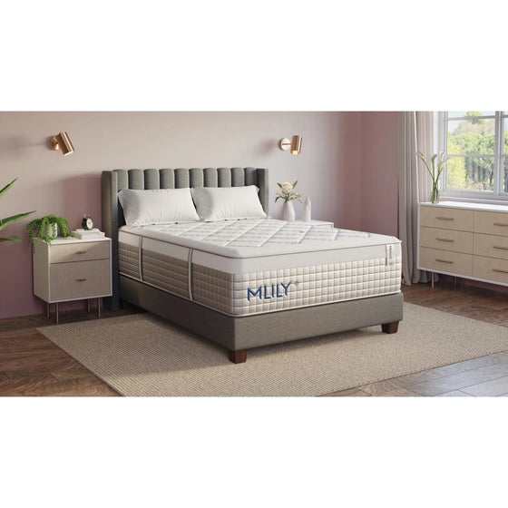 MLily MProve 3.0 Plush Hybrid Mattress